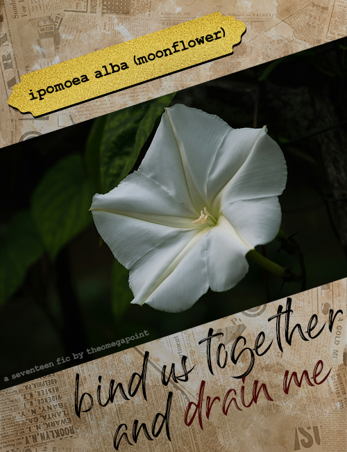 bind us together and drain me