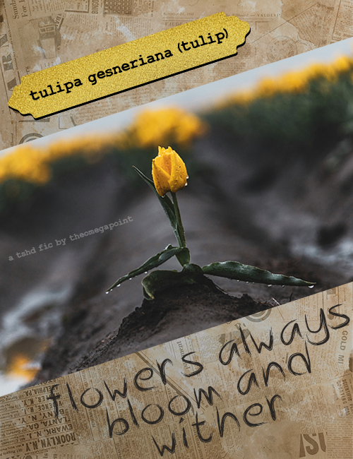 flowers always bloom and wither
