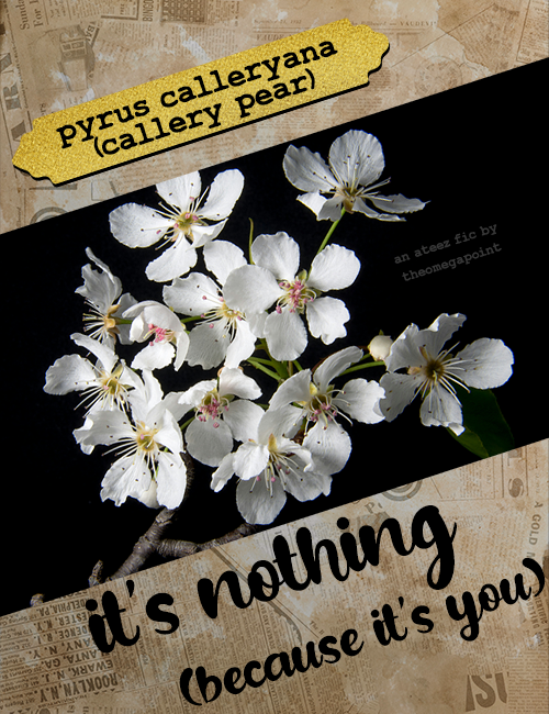 it's nothing (because it's you)