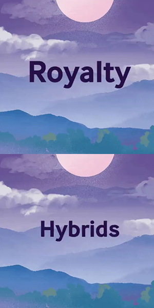 royalty / hybrids