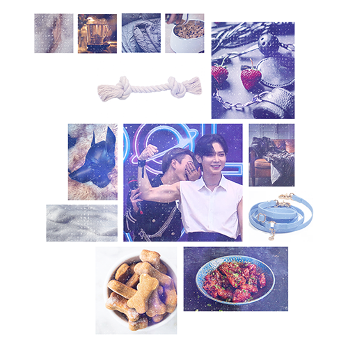 hongsang pet play moodboard