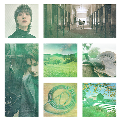 horse shifter minghao moodboard